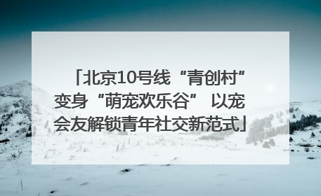 北京10号线“青创村”变身“萌宠欢乐谷” 以宠会友解锁青年社交新范式